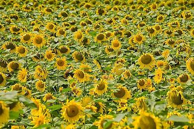 MachineGame成功史：靠修别人修不了的BUG获认可